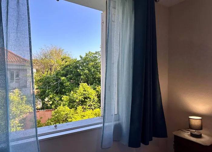 דירה *.* De U Nespulu Di Anghjulina *.* *