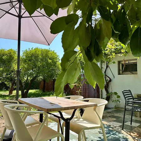 *.* De U Nespulu Di Anghjulina *.* * Borgo (Corsica)